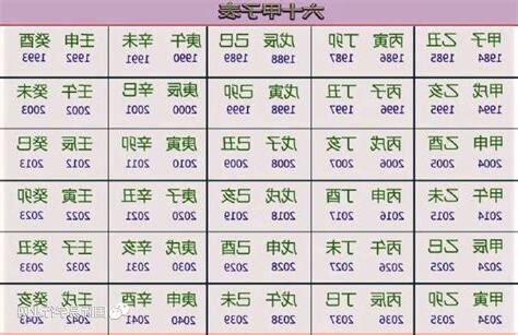 乙酉 日柱